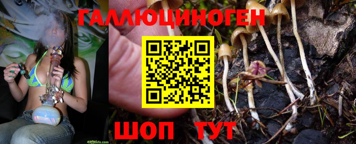 Арзамас  Галлюциногенные грибы ЛСД  Вход с VPN 